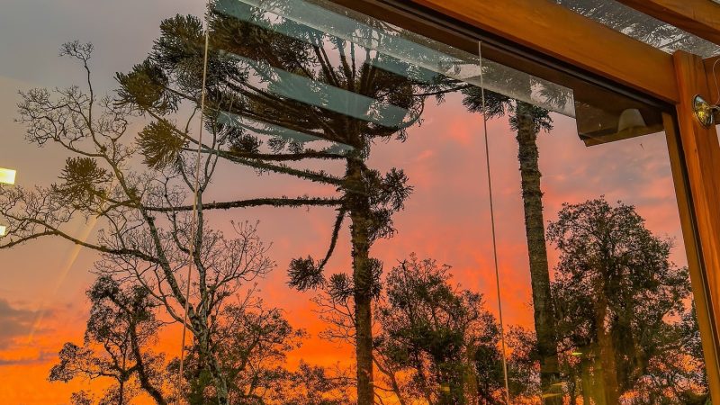 Férias de julho em Canela: momentos especiais na Serra Gaúcha